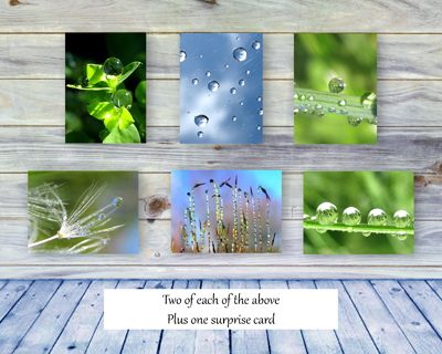 Meditation - Greeting Card Collection by The Poetry of Nature - front and back of box