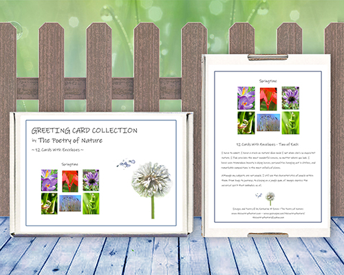 Spring Flowers Greeting Card Collection by The Poetry of Nature - happy, colorful, botanical note cards, flower cards with poems 