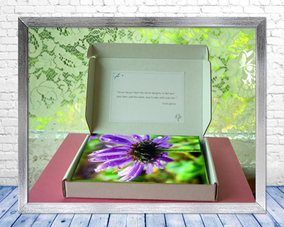 Poetry of Nature I - Greeting Card Collection - open box view