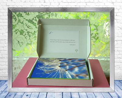 Poetry of Nature II - Greeting Card Collection - open box view