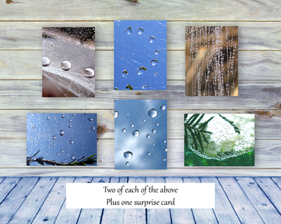 Spider Webs II - Greeting Card Collection by The Poetry of Nature - front and back of box