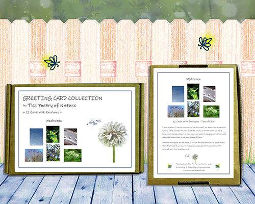 Meditation -  Greeting Card Collection by The Poetry of Nature - peaceful, soothing, zen meditation cards, photo cards with poems