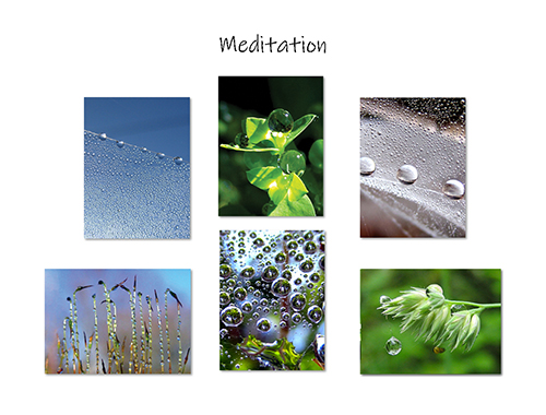 Meditation Greeting Card Collection by The Poetry of Nature